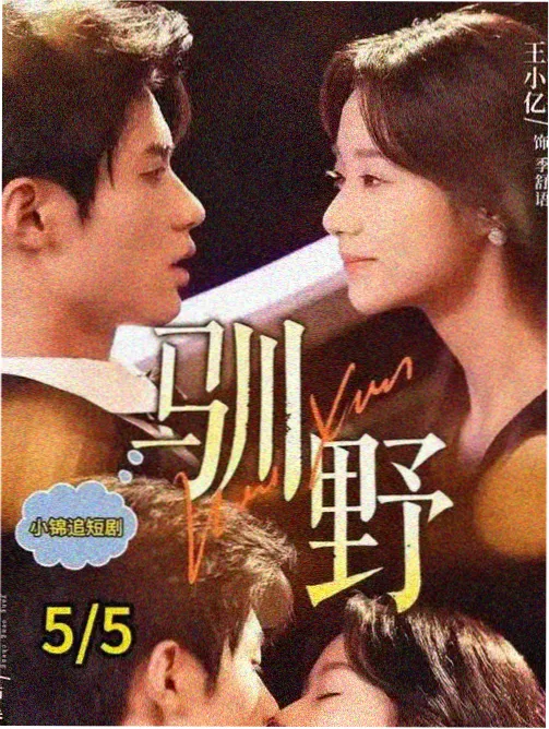 协和影院剧集标本条目《回声档案室》封面示意